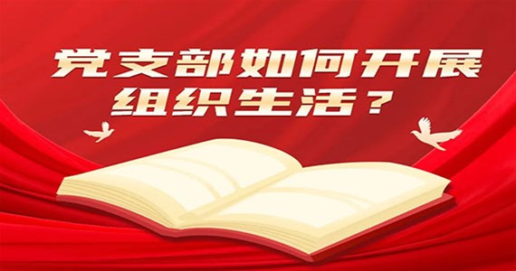 老哥俱乐部红·创先锋｜党支部如何开展组织生活？